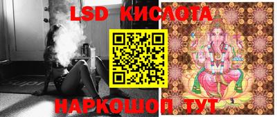 стафф Будённовск