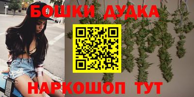 стафф Будённовск