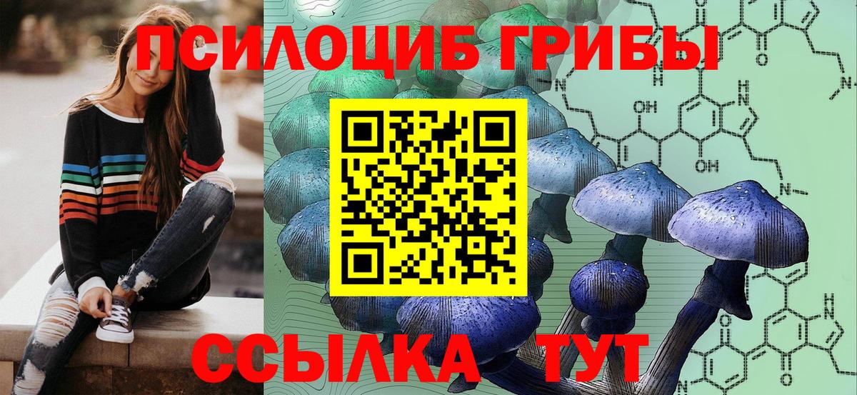 Псилоцибиновые грибы мицелий Похвистнево