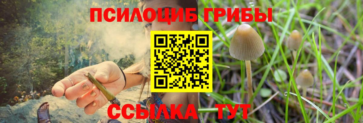Галлюциногенные грибы Cubensis  Вход с VPN  Похвистнево 